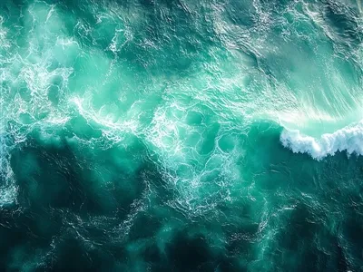 Всесвітній океанський день Хайлі в дії